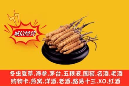 威远县高价上门回收虫草多少钱每克